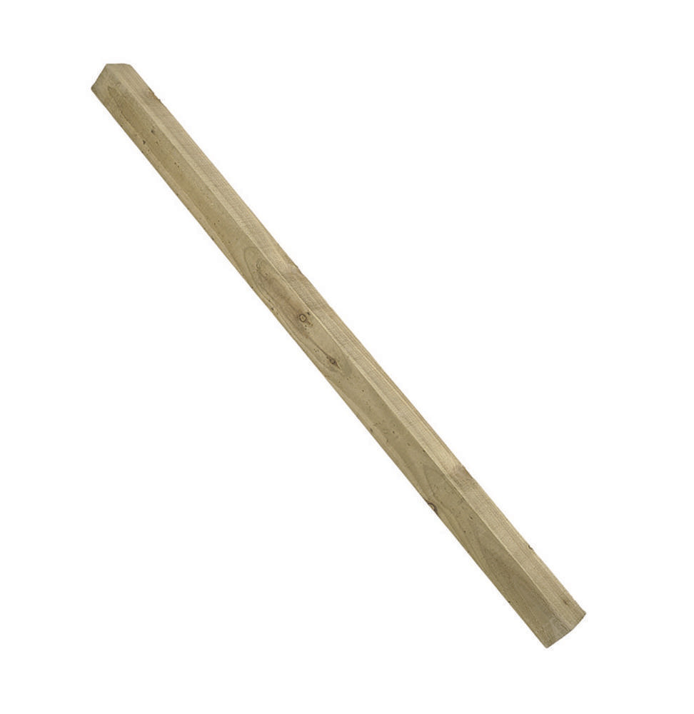 FP48_1.jpg.jpeg